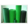 PVC Coated Welded Wire Mesh (DHW05)